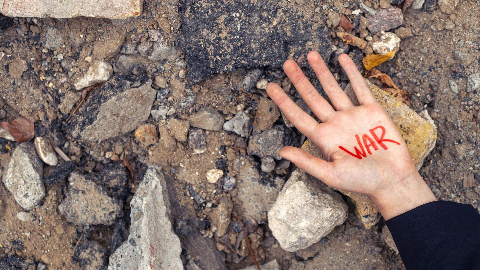 Learn Arabic language for NGO